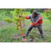 Stabiliser for shrub & stake puller